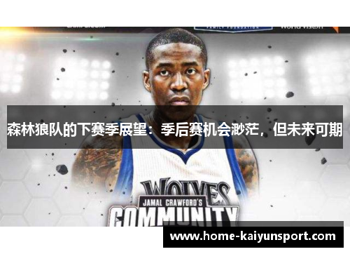森林狼队的下赛季展望：季后赛机会渺茫，但未来可期